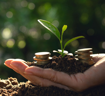 تمويل مشاريع القطاع الزراعي